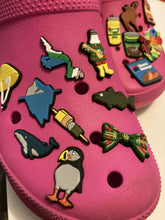 Load image into Gallery viewer, NL Inspired Shoe Charms