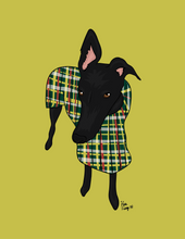 Load image into Gallery viewer, One-pet cartoon