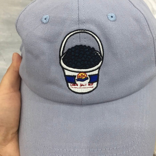 Light Blue Embroidered Blueberry Picking Dad Cap