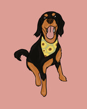 Load image into Gallery viewer, One-pet cartoon
