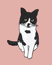 Load image into Gallery viewer, One-pet cartoon